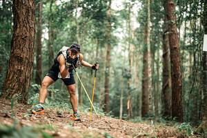 BIB: 
                            <button type="button" onclick="openModal(25261563)" class="btn btn-primary btn-sm float-right btn-popup" data-toggle="modal" data-target=".modal-high-quality">
                        <i class="fas fa-shopping-cart"></i> Add to Cart
                    </button>
                                            <button type="button" onclick="isThisMe(25261563, true)" class="btn btn-success btn-sm float-right btn-popup btn-isme hidden" data-toggle="tooltip" data-placement="bottom" title="นี่คือรูปของคุณใช่ไหม คลิกที่นี่เพื่อเอาเข้าอัลบั้ม">
                        <i class="fas fa-plus"></i> Add to album
                    </button>
                    <button type="button" onclick="isThisMe(25261563, false)" class="btn btn-warning btn-sm float-right btn-popup btn-isnotme hidden">
                        <i class="fas fa-ban"></i> Remove from album
                    </button>